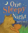 One Sleepy Night cover