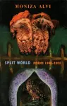 Split World cover