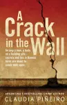 A Crack in the Wall cover