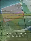 Mariele Neudecker - Sediment cover