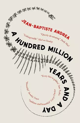 A Hundred Million Years and a Day cover