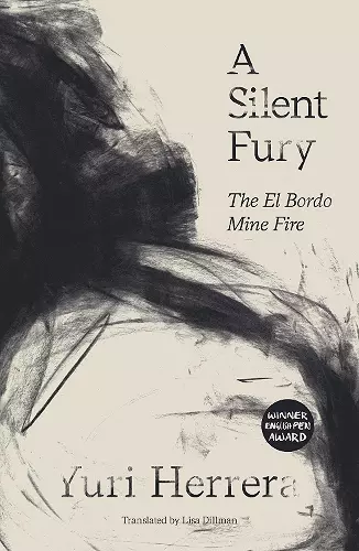 A Silent Fury cover