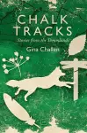 Chalk Tracks cover