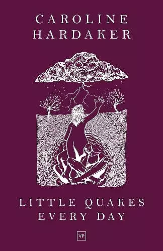 Little Quakes Every Day cover