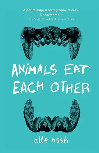 Animals Eat Each Other cover