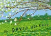 David Hockney cover