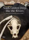 Souls Grown Deep like the Rivers cover