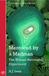 Mentored by a Madman cover