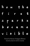 how the first sparks became visible cover