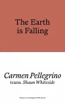 The Earth is Falling cover