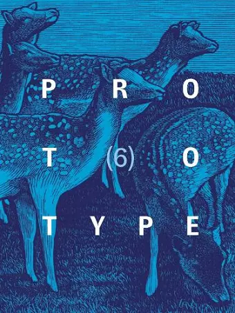 PROTOTYPE 6 cover