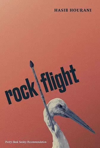 rock flight cover