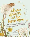 Slow Down and Be Here Now cover