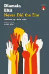 Never Did the Fire cover