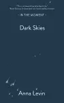 Dark Skies cover