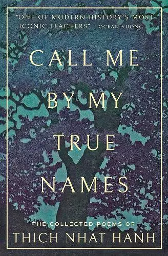 Call Me By My True Names cover