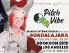 Pitch Vibe! cover