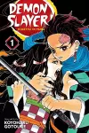 Demon Slayer: Kimetsu no Yaiba, Vol. 1 cover