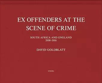 David Goldblatt: Ex Offenders cover