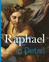 Raphael in Detail cover